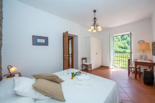 Ranzo-Borgo
