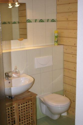 a bathroom with a toilet and a sink at Ferienwohnung Wagner in Kurort Altenberg