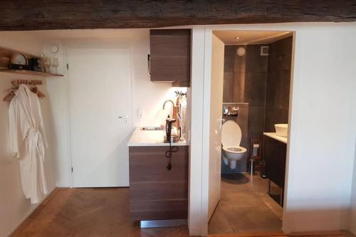 een badkamer met een wastafel en een toilet bij Luxurious Loft in Maastricht City Center in Maastricht