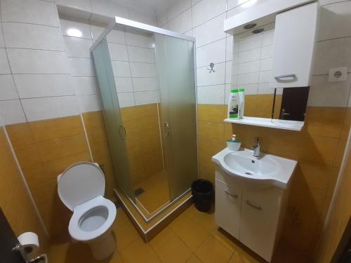 a bathroom with a shower and a toilet and a sink at Hostel Franica in Kuršumlija