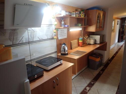 cocina con armarios de madera y encimera en Apartament Kacperek, Willowa 4A - 2 sypialnie, salon - dla rodzinny 4-5 os, samo centrum en Szczyrk