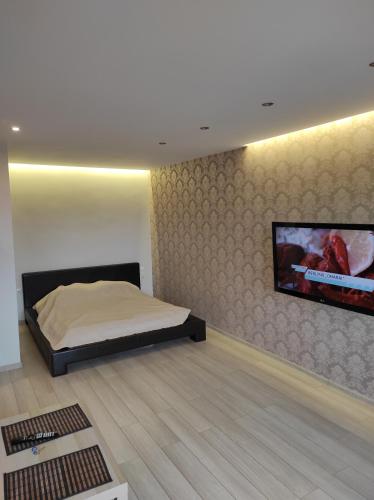 une chambre avec un lit et une télévision à écran plat dans l'établissement Studija Centre, à Klaipėda