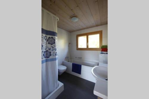 ein Bad mit einem WC und einem Waschbecken in der Unterkunft Région de GSTAAD, charmant chalet duplex de 80m2 in Zweisimmen