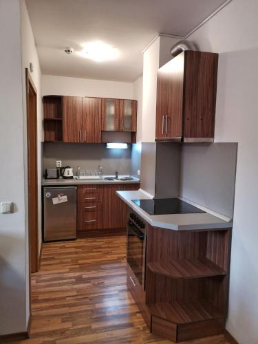 a kitchen with wooden cabinets and a counter top at Double Studio near SKI Lift - Bansko in Bansko