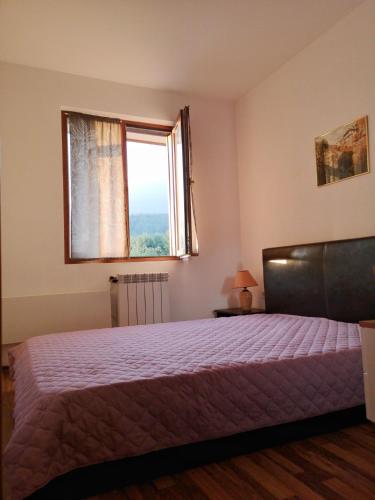 a bedroom with a large bed and a window at Double Studio near SKI Lift - Bansko in Bansko