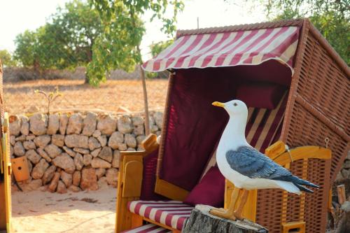 a bird standing on a chair in a play house at Agroturismo Finca Sa Tanca in Cala d´Or