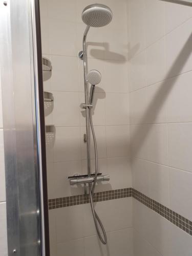 La salle de bains est pourvue d'une douche avec un pommeau de douche. dans l'établissement appartement cosy au calme et en centre ville, à Aix-les-Bains