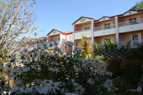 un edificio con flores blancas delante de él en Hotel Des Neiges en Cilaos