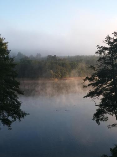 a misty lake with trees in the background at Przystań na Zagórzu - Apartamenty nad jeziorem in Drezdenko