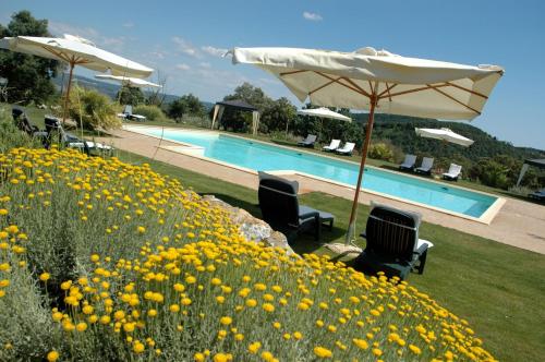 a pool with chairs and umbrellas and a field of flowers at Tenuta Seripa in Sassetta