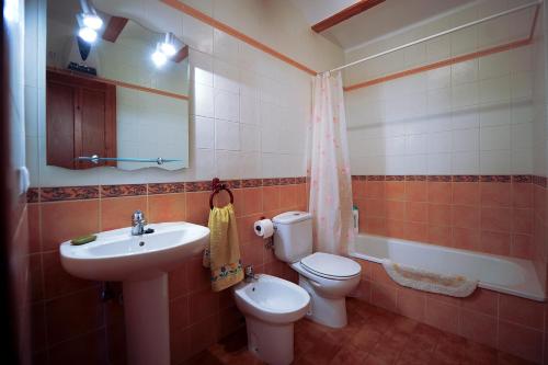 Un baño con lavabo, inodoro y espejo. en Apartamentos Rurales San Juan, en Castellnovo