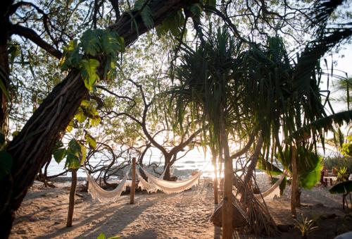 a hammock on the beach under some trees at Sueño del Mar Beachfront Hotel in Tamarindo