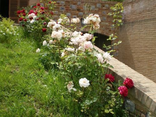 a bunch of white and red flowers in a garden at Fullino Nero Rta - Residenza Turistico Alberghiera in Siena