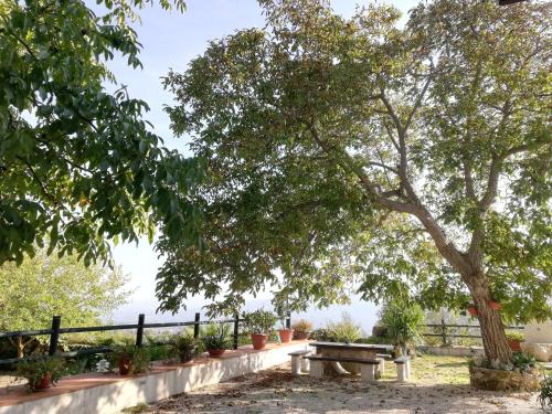a picnic table under a tree next to a fence at Le Coste Affittacamere in San Lupo