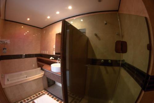 a bathroom with a shower and a sink at Hotel Aquarius do Vale in São José dos Campos