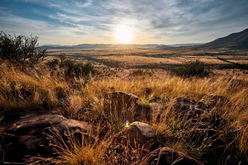 a field of tall grass with the sun in the background at Glen Harry Game Reserve in Graaff-Reinet