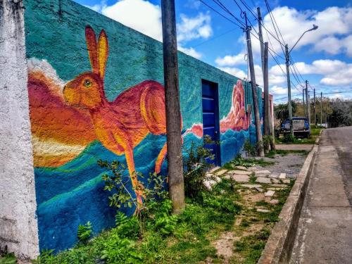 Social-Club La Cueva في ميناس: لوحة جدارية لأرنب على الحائط