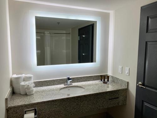 a bathroom with a sink and a mirror at Wingate by Wyndham Atlanta Galleria/ Ballpark in Atlanta