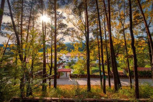 uma vista para uma casa através das árvores em Wolkendorf Bio Hotel & Spa em Brasov