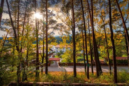 a view of a house through the trees at Wolkendorf Bio Hotel & Spa in Braşov