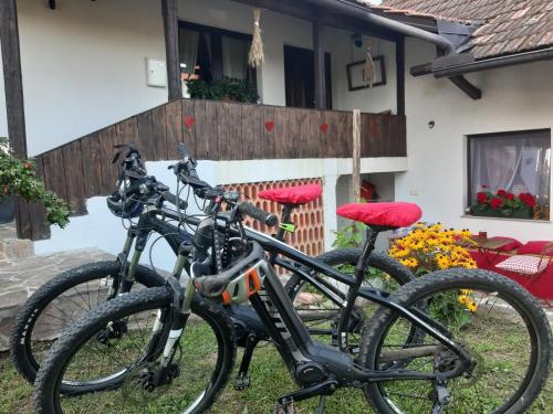 duas bicicletas estacionadas em frente a uma casa em HIŠA ANTONIJA-APARTMA IRINKA em Fokovci