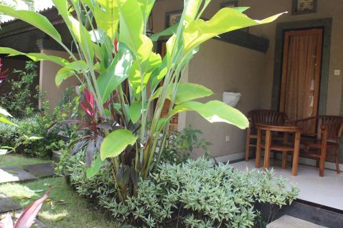 Jardín al aire libre en Trijaya Guest House Pemuteran