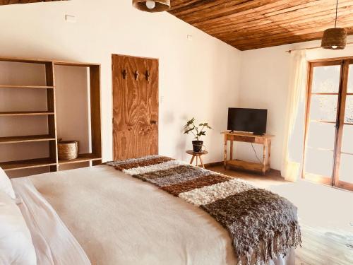 1 dormitorio con 1 cama grande y TV en El Arbol Eco Lodge en La Serena
