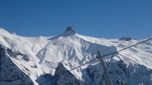 a snow covered mountain in front of a mountain at Chalet Aloa in Adelboden
