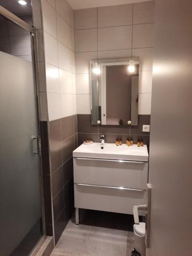 y baño con lavabo, espejo y aseo. en Gîte chêne - Domaine de Vermoise, en Sainte-Maure