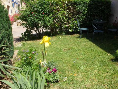 a yellow flower in the grass in a yard at Logis Saint Martin in Magny-lès-Villers