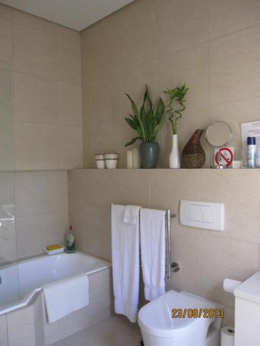 a bathroom with a tub and a toilet and a sink at Navona Constantia Guest Cottage in Cape Town