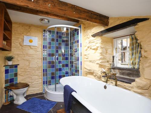 DinorwicにあるLlwyn Bedwのバスタブとトイレ付きのバスルーム