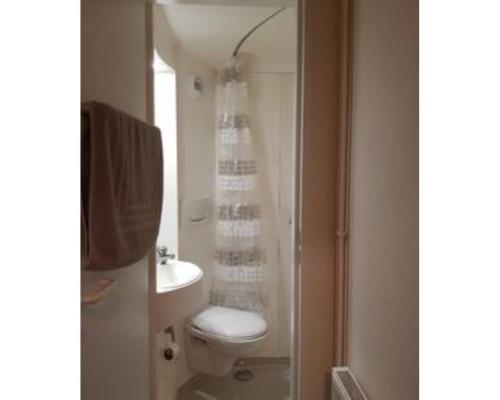 a bathroom with a shower and a toilet and a sink at The Maltings - Apartments 1 in Shepton Mallet