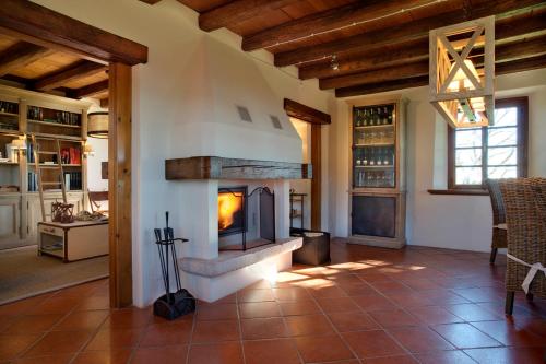 a living room with a fireplace in a house at Agriturismo La Vigna di Sarah in Vittorio Veneto