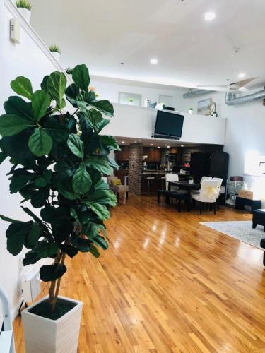 a living room with a potted plant on the floor at UPDATED Amazing Bi -Level Condo minutes from water views of New York City in North Bergen