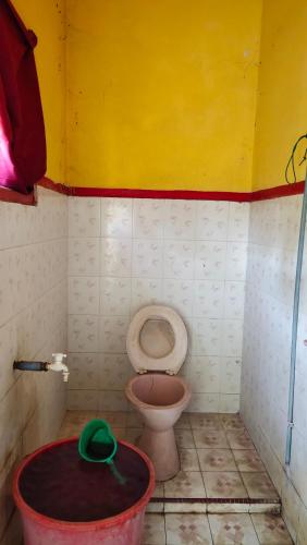 ein schmutziges Bad mit WC und Eimer in der Unterkunft Hotel Sayna in Sibolangit