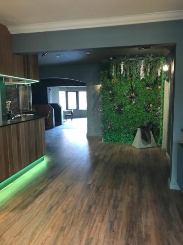 Kuchyň nebo kuchyňský kout v ubytování Beverley Hotel