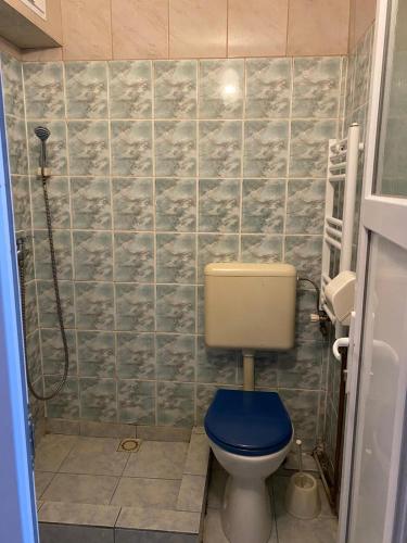a bathroom with a toilet with a blue seat at Pensiune Turist in Sibiu