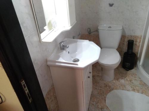 a bathroom with a sink and a toilet and a window at VILLA KONSTANTINA in Nea Skioni