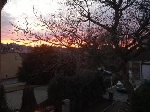a sunset seen from a window with a tree at Apartmány Friday in Liberec