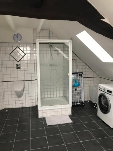 Vonios kambarys apgyvendinimo įstaigoje Ferienwohnung Haus Heimes
