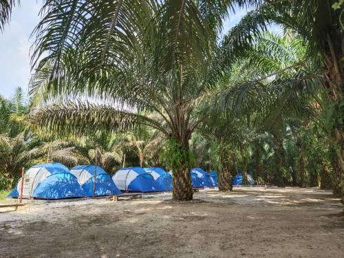 Gallery image of Gopeng Campsite in Gopeng