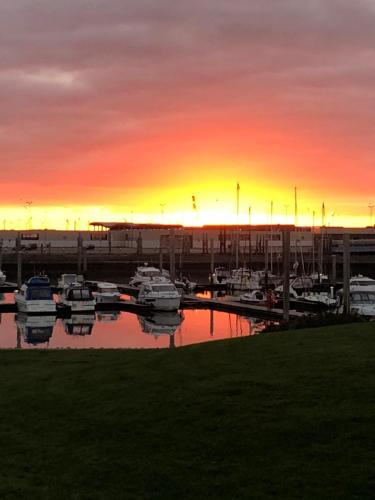 a group of boats in a marina at sunset at Am alten Marktplatz in Norden