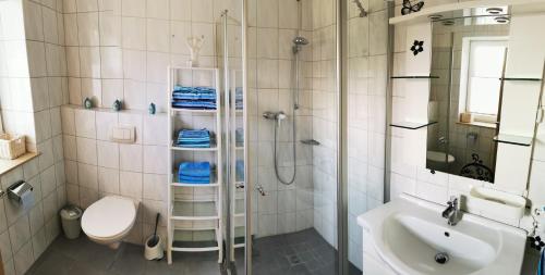 a bathroom with a shower and a toilet and a sink at Ferienhaus/Ferienwohnung Fam. Manthey in Harrendorf