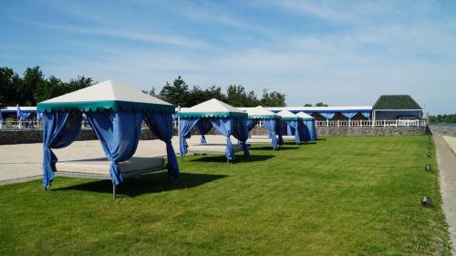 a row of blue and white tents in a field at Спа-Готель Потоки Хауз in Kam”yani Potoky