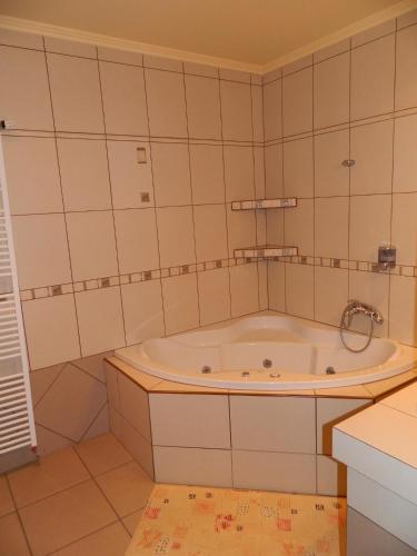 Gallery image of Hotel Slnecny Dvor in Michalovce