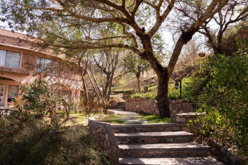 Zahrada ubytování Tree of Life Resort & Spa Jaipur