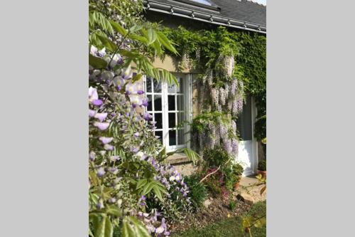 a house with wisteria on the side of it at Walnut Tree Gite Brittany in Boderel