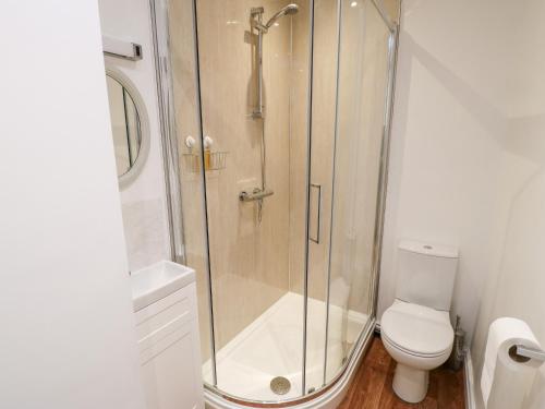 a bathroom with a shower and a toilet at Hawthorne Cottage in Barnard Castle