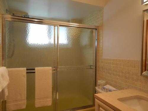 a bathroom with a shower and a sink at Shell Motel Hollywood in Hollywood